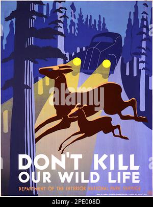 Poster showing two deer crossing road in front of approaching car.. Text- 'Don't kill our wild life. Department of the Interior - c1940 Stock Photo