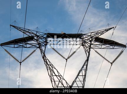Simetría en esta fotografía de una cigüeña en el centro de una torre eléctrica. Stock Photo