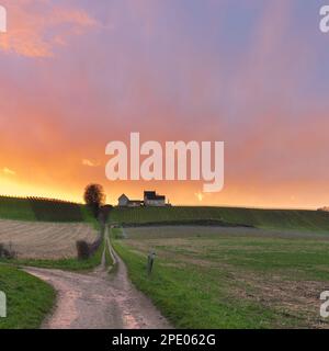 explosion of colours during sunset over the Jeker valley in Maastricht with a beautiful cloudscape and view of the rolling hill landscape of vineyards Stock Photo