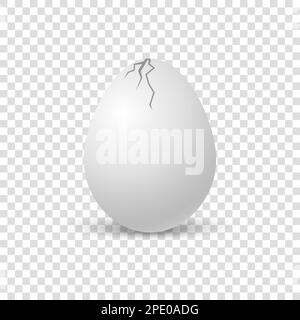 Brocken eggs. Crack eggshell. Vector realistic break white shell on transparent background. Stock Vector