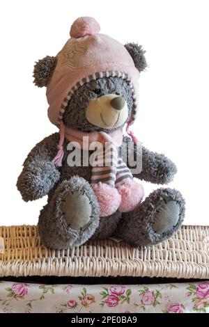 Cute Teddy bear soft cuddly toy wearing pink hat and scarf sitting on wicker basket Stock Photo