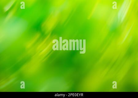 Zooming green leaf natural blurred background. Acceleration super fast green nature blurred background. Stock Photo