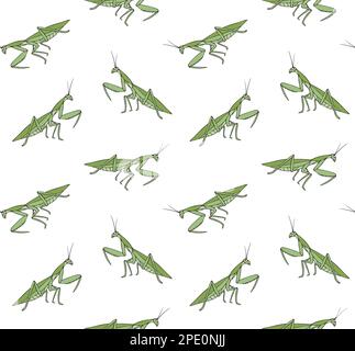 Vector seamless pattern of mantis on white background Stock Vector ...