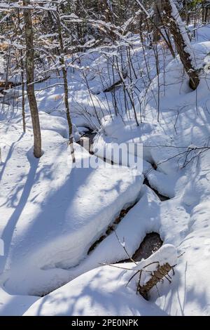 Tiny stream and fresh snow along Munising Ski Trails at Pictured Rocks National Lakeshore, Munising, Upper Peninsula, Michigan, USA Stock Photo