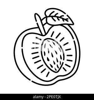 Apricot black and white vector line illustration Stock Vector