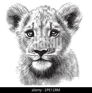 How to Draw a Lion  A StepbyStep Guide with Pictures