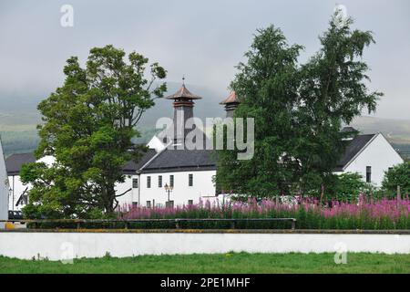 Dalwhinnie Whisky Distillery with trees and the flowers of rosebay willowherb in front of buildingss. Stock Photo