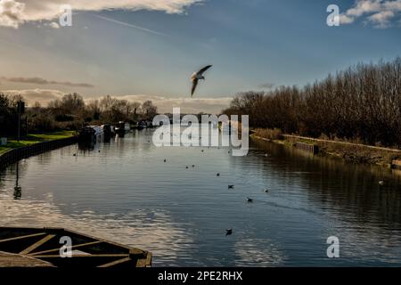 View of the Gloucester - Sharpness Ship Canal viewed from Patch Bridge, near Slimbridge, United Kingdom Stock Photo