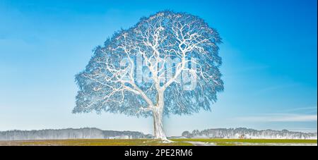 Abstract - tree with brain like structure Stock Photo