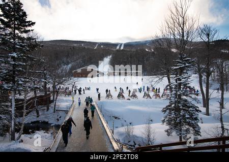 Wildcat Mountain Ski Area, New Hampshire, USA.  Skiers cross creek from the base lodge to the ski area at Wildcat Mountain ski area. Stock Photo