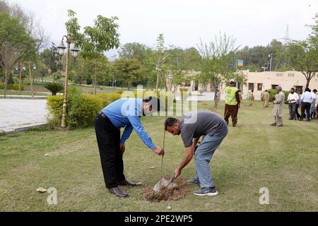 Islamabad, Pakistan. 15th Mar, 2023. People plant trees during a spring tree plantation drive in Islamabad, Pakistan, on March 15, 2023. Credit: Ahmad Kamal/Xinhua/Alamy Live News Stock Photo