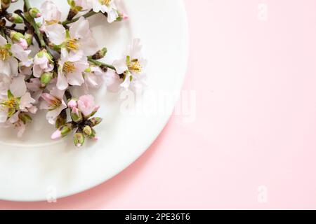 Easter table decoration, almond blossoms on a white plate, pink color background, copy space. Stock Photo