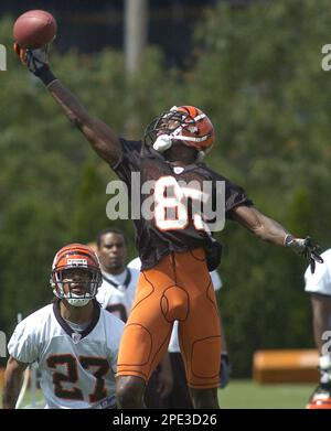 Cincinnati Bengals wide receiver Chad Ochocinco (85) makes a nice catch in  practice from Georgetown College in Georgetown Ky. (Credit Image: © Wayne  Litmer/Southcreek Global/ZUMApress.com Stock Photo - Alamy