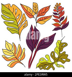 Botanical set of tropical plants in doodle technique vector illustration Stock Vector