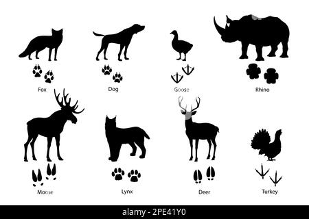 Animal footprints and silhouettes of wild fox, pet dog and birds, vector paw prints with claws. Deer or moose elk, rhinoceros and lynx, turkey or goos Stock Vector