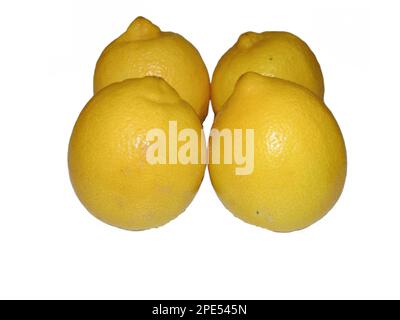Group of lemons isolated on white background Stock Photo