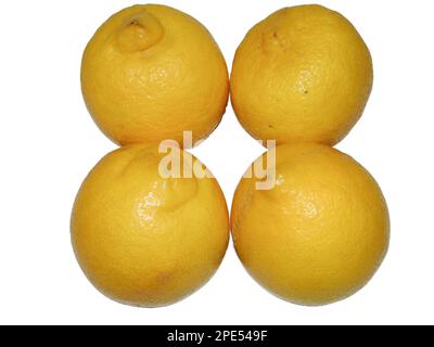 Group of lemons isolated on white background Stock Photo
