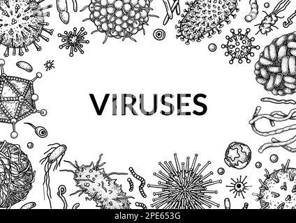 Virus horizontal background in sketch style. Hand drawn bacteria, germ, microorganism. Microbiology scientific design. Vector illustration in sketch s Stock Vector