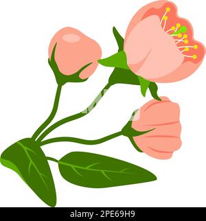 Natural composition with blooming spring inflorescence drawing on transparent background Stock Vector