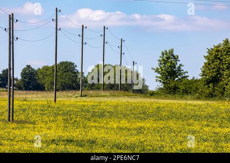 Wooden telegraph poles, meadow with colourful flowers, Lenningen, Baden-Wuerttemberg, Germany Stock Photo