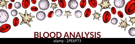 Blood cells background. Design for blood test, anemia, donation, hemophilia, laboratory scientific research concepts. Vector illustration in sketch st Stock Vector
