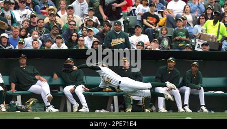 May 4, 2010; Oakland, CA, USA; Oakland Athletics left fielder Eric Patterson  (1) at bat against the Texas Rangers during the seventh inning at  Oakland-Alameda County Coliseum. Oakland defeated Texas 7-6 Stock Photo -  Alamy