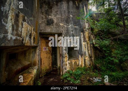 Abandoned, destoyed concrete bunker with embrasure in summer forest.Entrance to the bunker. Dolomites, Italy, Dolomites, Italy, Europe Stock Photo