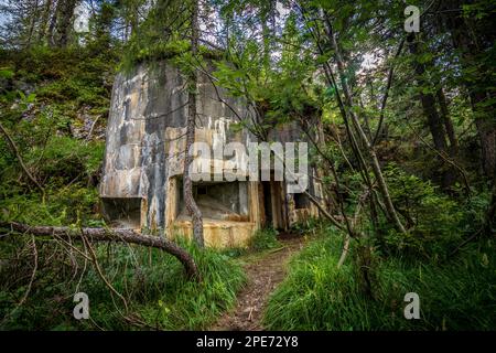 Abandoned, destoyed concrete bunker with embrasure in summer forest.Entrance to the bunker. Dolomites, Italy, Dolomites, Italy, Europe Stock Photo