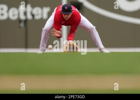 St. Petersburg, FL. USA; Boston Red Sox first baseman Bobby Dalbec (29)  gets ready in the field during a major league baseball game against the  Tampa Stock Photo - Alamy