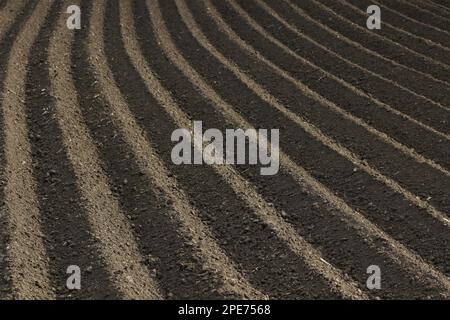 Freshly plowed fertile soil as basis for a functional agricultural cultivation Stock Photo