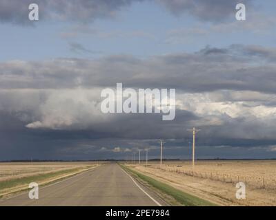 congestus clouds (Cumulus) and rainfall over road through farmland, North Dakota, U. S. A Stock Photo