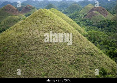 Cone-shaped karst hills of grass-covered limestone, Chocolate Hills, Bohol Island, Philippines Stock Photo