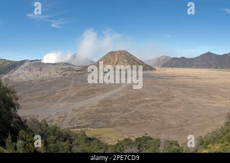View across plain towards volcanoes, 'Sea of Sand', Mount Bromo (left) and Mount Batok (right), Mount Semeru in distance, Bromo Tengger Semeru N. P. Stock Photo