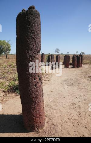 Stones marking burial site, Wassu stone circles, Gambia Stock Photo