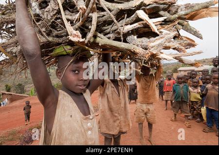 Boys carrying firewood on heads stand on dusty village road, Rwanda Stock Photo