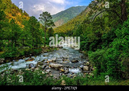 Tirthan River in the eco-zone of the Great Himalayan National Park in the Tirthan Valley, Himachal Pradesh. Stock Photo