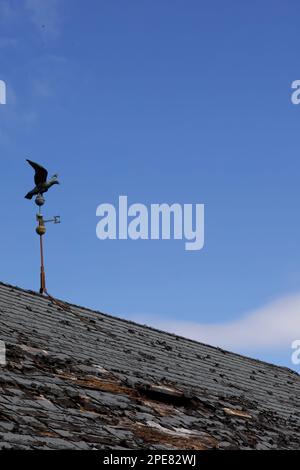 Barn roof with large whole in total disrepair.  Eagle weathervane on top, left side.  Empty space for copy. Stock Photo
