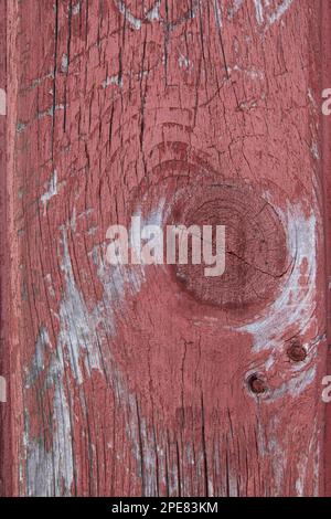 Close up of red wooden siding with peeling paint on old New England barn. Stock Photo
