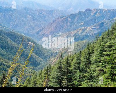 Green Valley, a natural dale near Shimla covered with the dense deodar and pine forests, surrounded by the verdant Himalayan foothills. Stock Photo