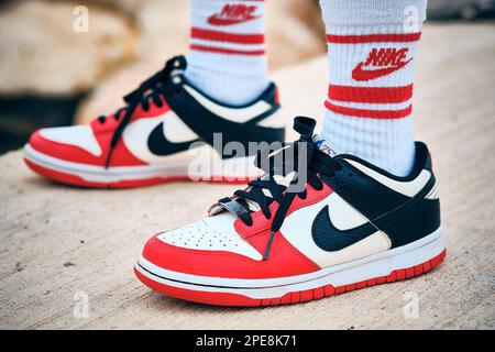 dunk low chicago 75th