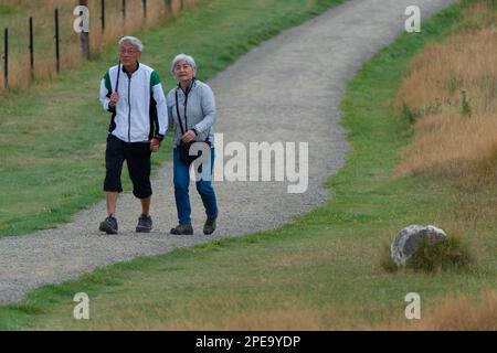 Asian couple hiking outdoors and holding hands on a New Zealand adventure, Castle Hill, South Island, New Zealand. Stock Photo