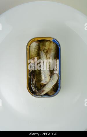 Canned seafood, preserved in oil. Isolated over white background. Canned food isolated on white background. Healthy mackerel fish-sardines with olive Stock Photo