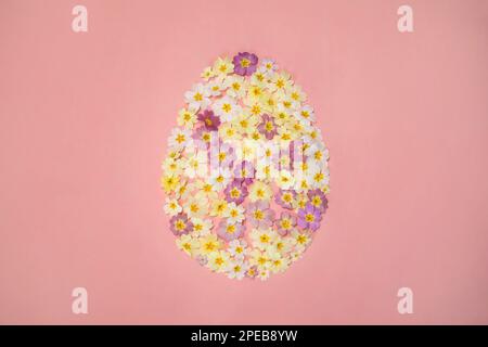 Easter egg shape flower pattern, creative background, easter blooming primrose decoration abstract arrangement, spring concept, easter concept. Stock Photo