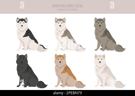 Greenland dog clipart. Different poses, coat colors set.  Vector illustration Stock Vector