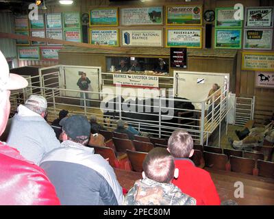 Spectators watch the action in the Beatrice 77 Livestock sale barn