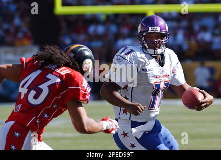 Daunte Culpepper Quarterback Minnesota Vikings Game Action Regular Season  Nfl – Stock Editorial Photo © ProShooter #203392538