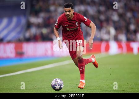 Madrid, Spain. 15th Mar, 2023. Cody Gakpo of Liverpool FC in action during the UEFA Champions League, Round of 16, Second Leg between Real Madrid CF and Liverpool FC at Santiago Bernabeu Stadium. Final score; Real Madrid 1:0 Liverpool. Credit: SOPA Images Limited/Alamy Live News Stock Photo