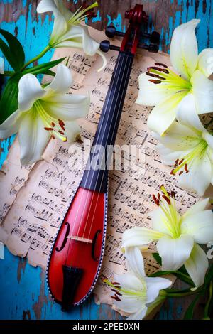 Pocket Violin On Sheet Music With White Lilies Still Life Stock Photo