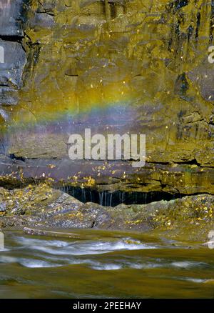 A rainbow foorming on  spring feed falling water on a rock ledge at Worlds End State Park, Pennsylvania Stock Photo