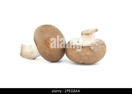 Fresh Baby Bella or Cremini whole mushrooms isolated on white background Stock Photo